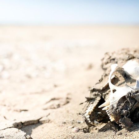 Skeleton Beach Backpackers ซวาคอปมุนด์ ภายนอก รูปภาพ